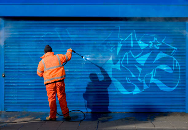 Best Residential Pressure Washing Services  in Brownfields, LA